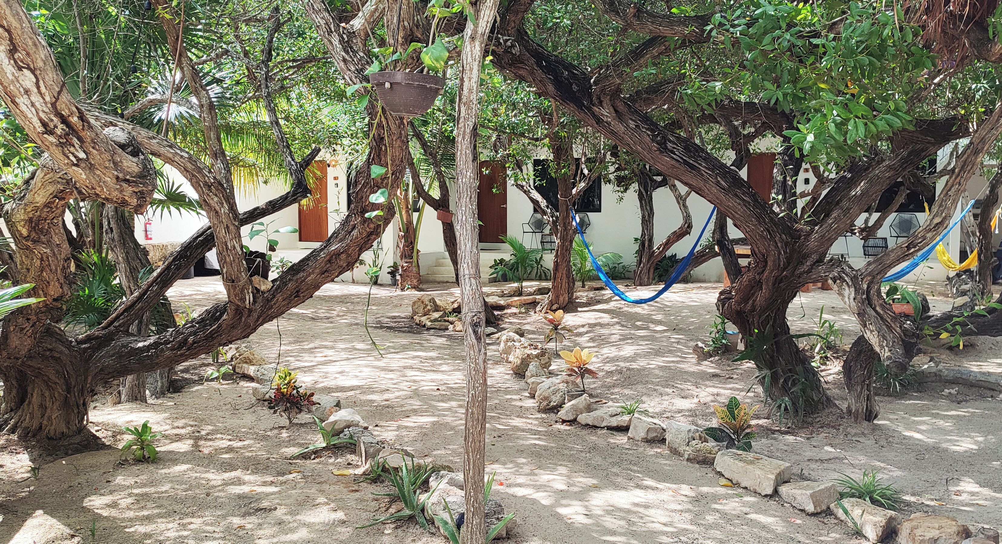 Lush green garden in the courtyard.