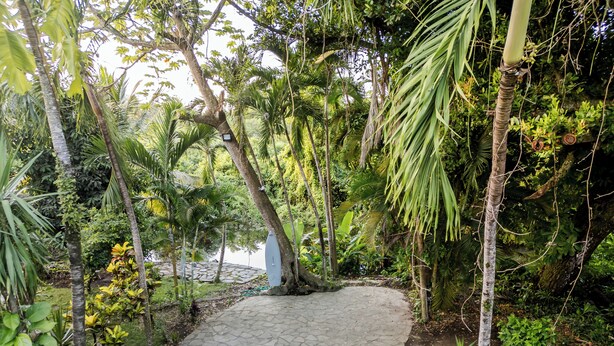 A stone pathway winding through a lush garden with various tropical plants and a small pond.