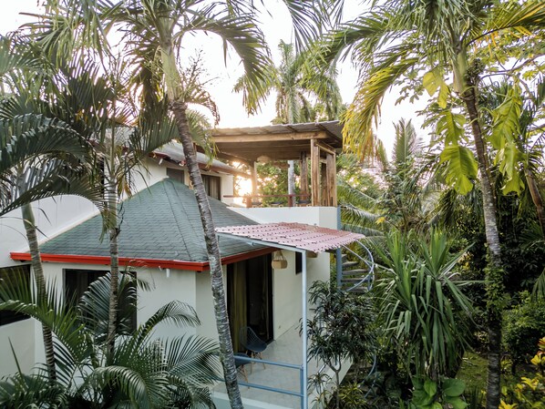 Exterior - Nature / Blend (Cabarete)