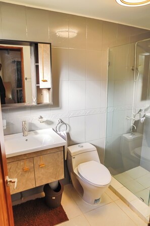 Hair dryer, towels, soap, toilet paper - Casa italia  (Cabarete)