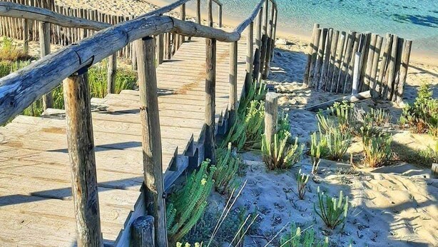 A wooden boardwalk leading to a beach with clear blue water and a sandy shore. - Charming 1-bedroom apartment with WiFi, AC in amazing Bari (Bari)