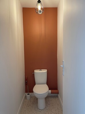 Chuveiro, toalhas de banho, papel higiênico 