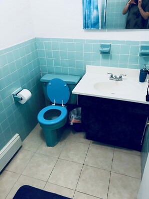 Hair dryer, towels, soap, shampoo - Charming 4-bedroom, 2 bath, balcony  townhome in Queens  (Queens)
