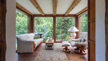 Smart TV, fireplace, books, music library