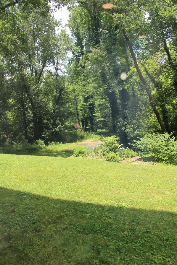 A lush green park with trees, a grassy area, and a small pond.