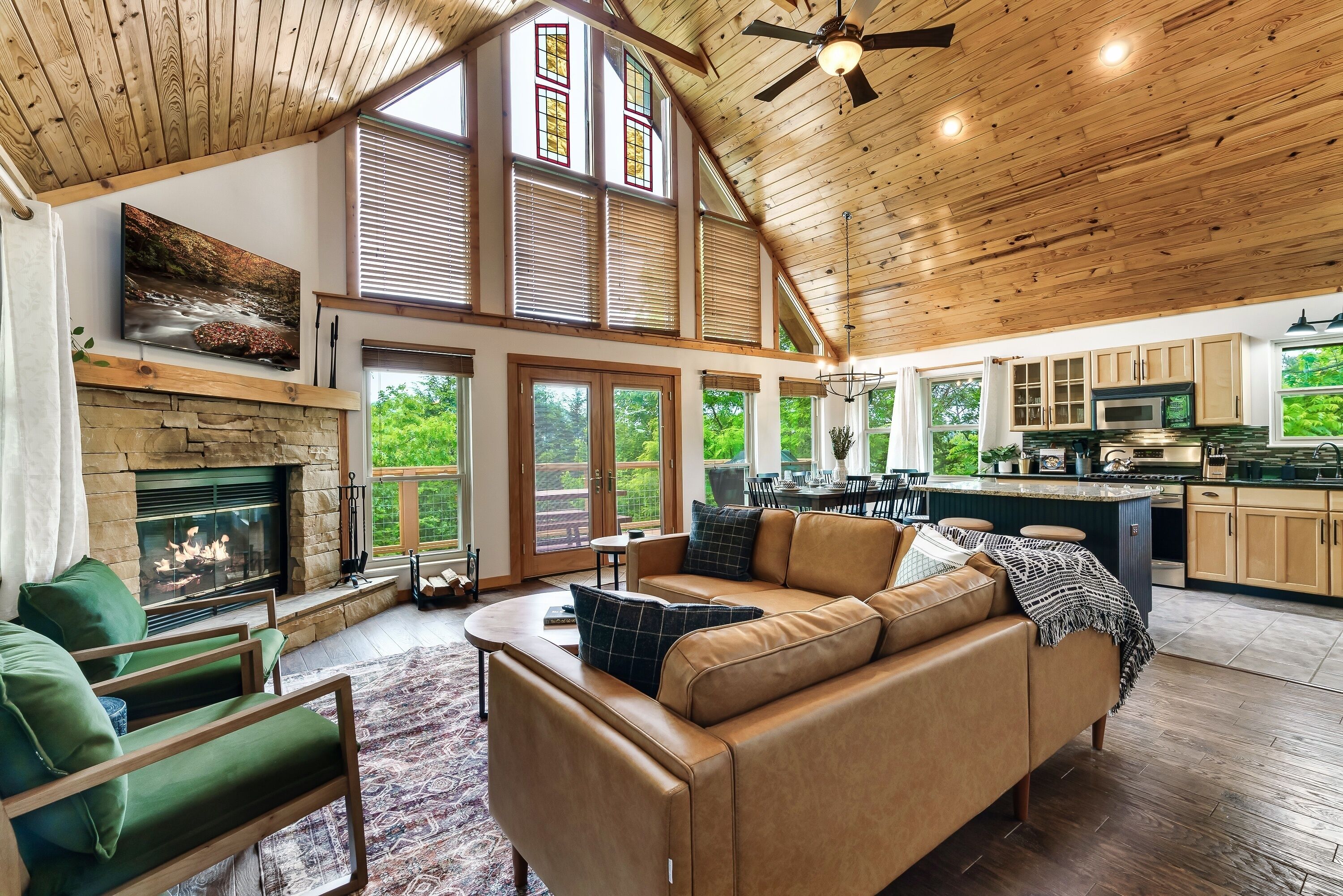 Smart TV, fireplace, video games, books