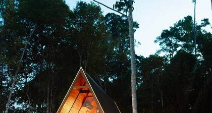 Come and live a luxury experience in the Amazon