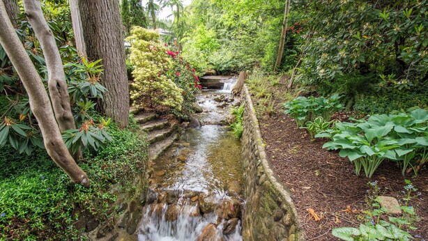 Un pequeño arroyo que serpentea por un jardín con escalones de piedra y abundante vegetación.