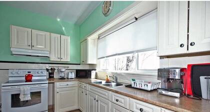 Niagara SkyLine Park And Walk To The Falls