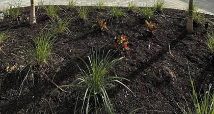 Cozy 2-bedroom condo with WiFi, fitness room in charming Babcock Ranch Florida.