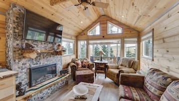 TV, fireplace, books