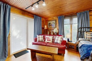 TV, fireplace, books