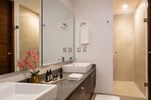 シャワー、ヘアドライヤー、タオル