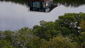 A floating house with a deck and windows, surrounded by dense greenery and water. - The Burrow, an amazing floating cabin with pontoon rental available (Grant-Valkaria)