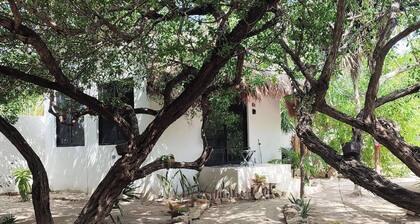 Garden, Air, 1 Block to Beach, Kitchenette, C4
