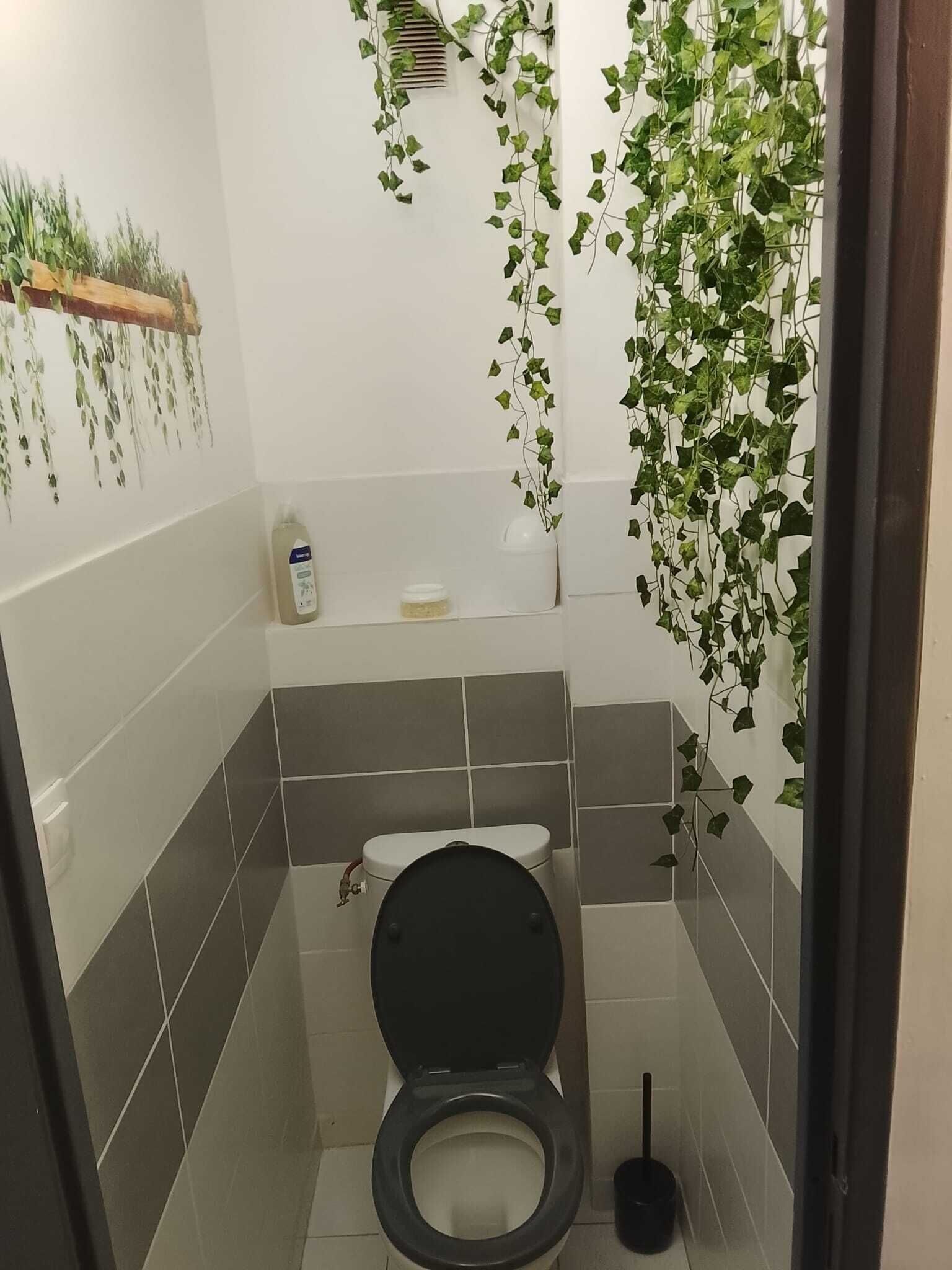 Douche, serviettes fournies, savon, shampoing