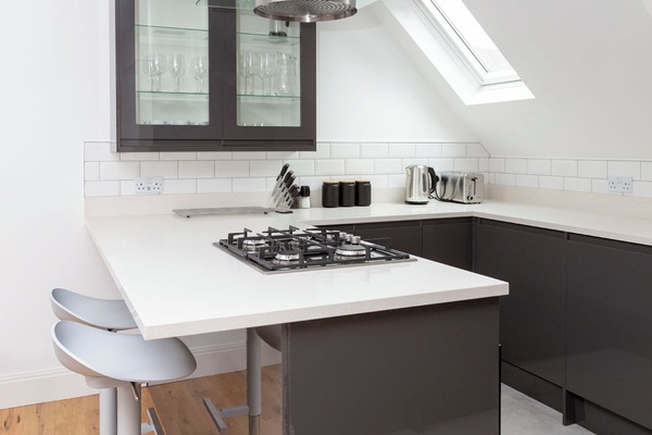 Deluxe Apartment | Private kitchen | Full-size fridge, microwave, oven, stovetop
