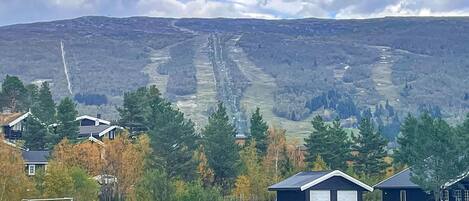 Un quartier résidentiel avec des maisons, un terrain de football et une montagne en arrière-plan.