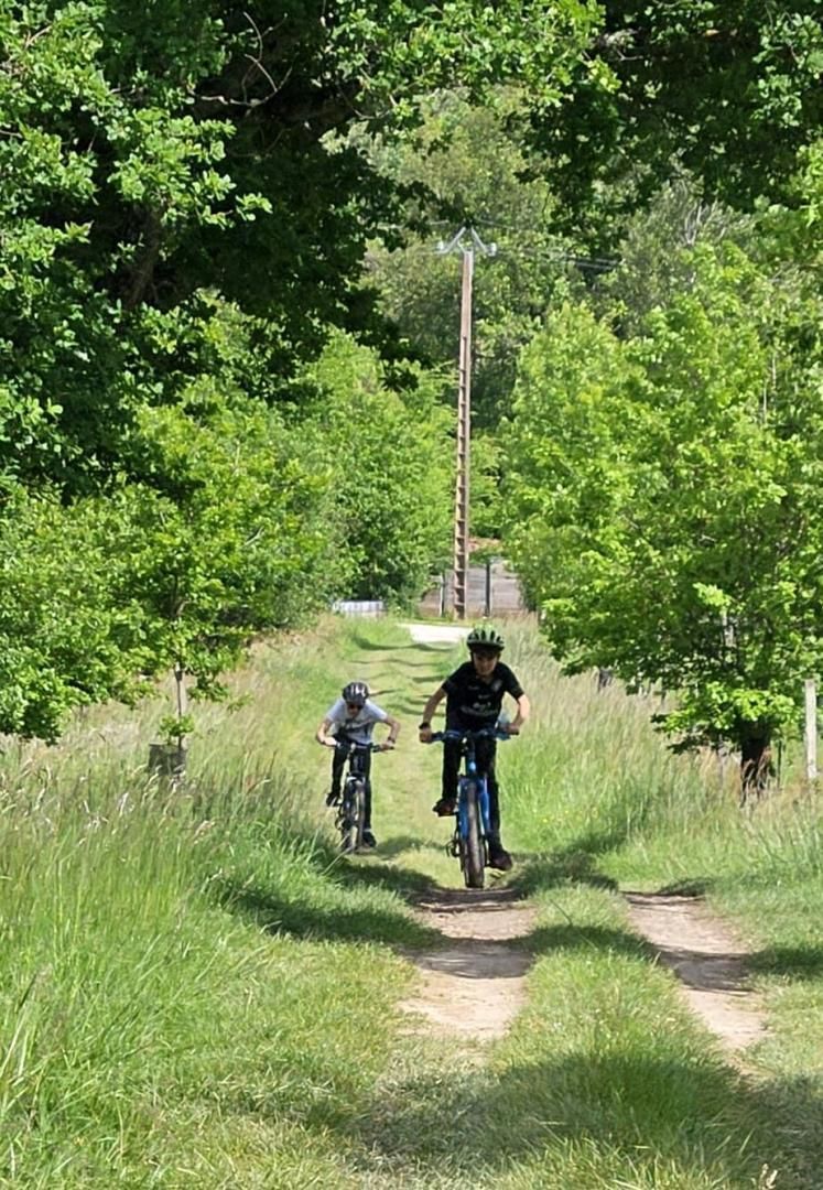 Ein unbefestigter Weg in einem bewaldeten Gebiet mit Radfahrern.