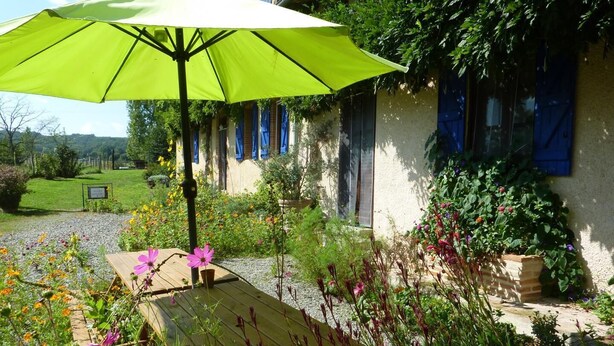 Eine Holzterrasse mit einem grünen Sonnenschirm, umgeben von einem Garten mit verschiedenen Blumen und Pflanzen.