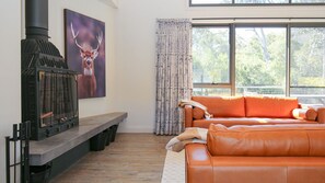 Smart TV, fireplace - Northern Exposure - Luxury group retreat (Bright)