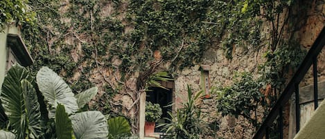 Un estrecho sendero de piedra conduce a una construcción rústica con una empinada pared cubierta de hiedra y abundante vegetación.