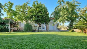 A well-maintained lawn with a building in the background.