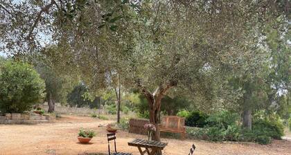 Cozy vacation home in the beautiful Apulian sea