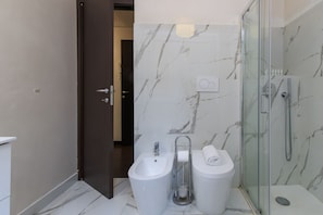 Shower, hair dryer, bidet, towels