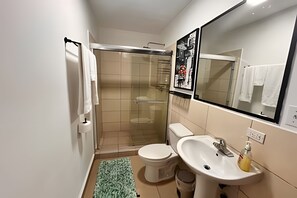 シャワー、ヘアドライヤー、タオル、石鹸