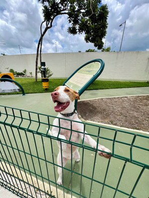 Área da propriedade