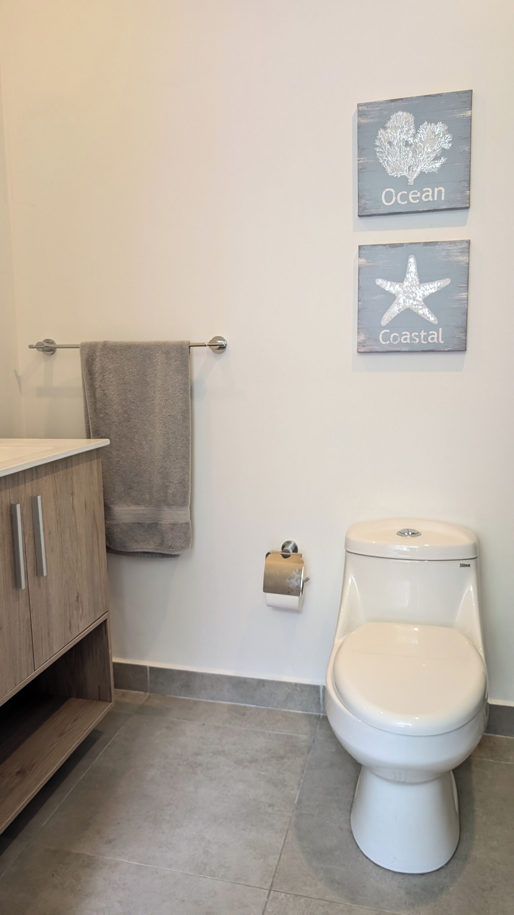 A bathroom with a toilet, a towel rack with a towel, and two wall-mounted signs reading "Ocean" and "Coastal".