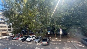 Un estacionamiento con varios autos, árboles y un edificio al fondo.