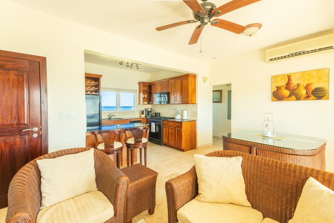 Deluxe Condo | Living area