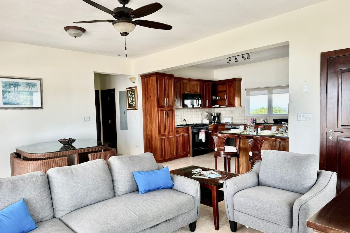 Condo Deluxe | Área de sala de estar | Televisión de pantalla plana 