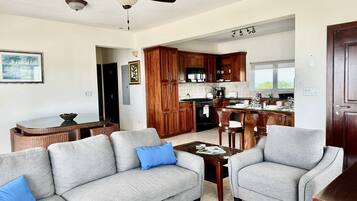 豪華公寓客房 | 客廳