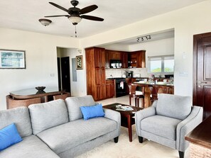 Deluxe Condo | Living area