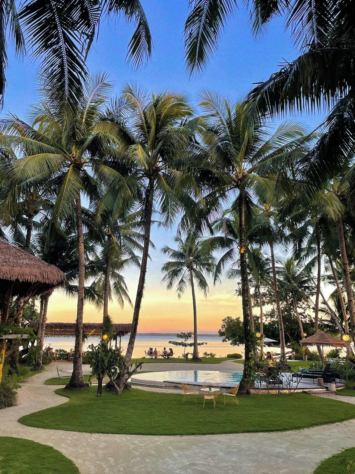 A resort with a pool, palm trees, and a view of the ocean.