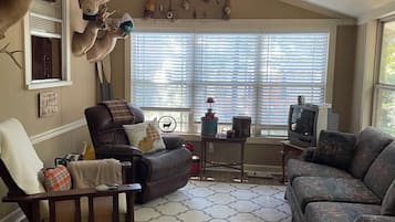 TV