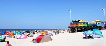 The Lovely Apartment is Beautifully Decorated