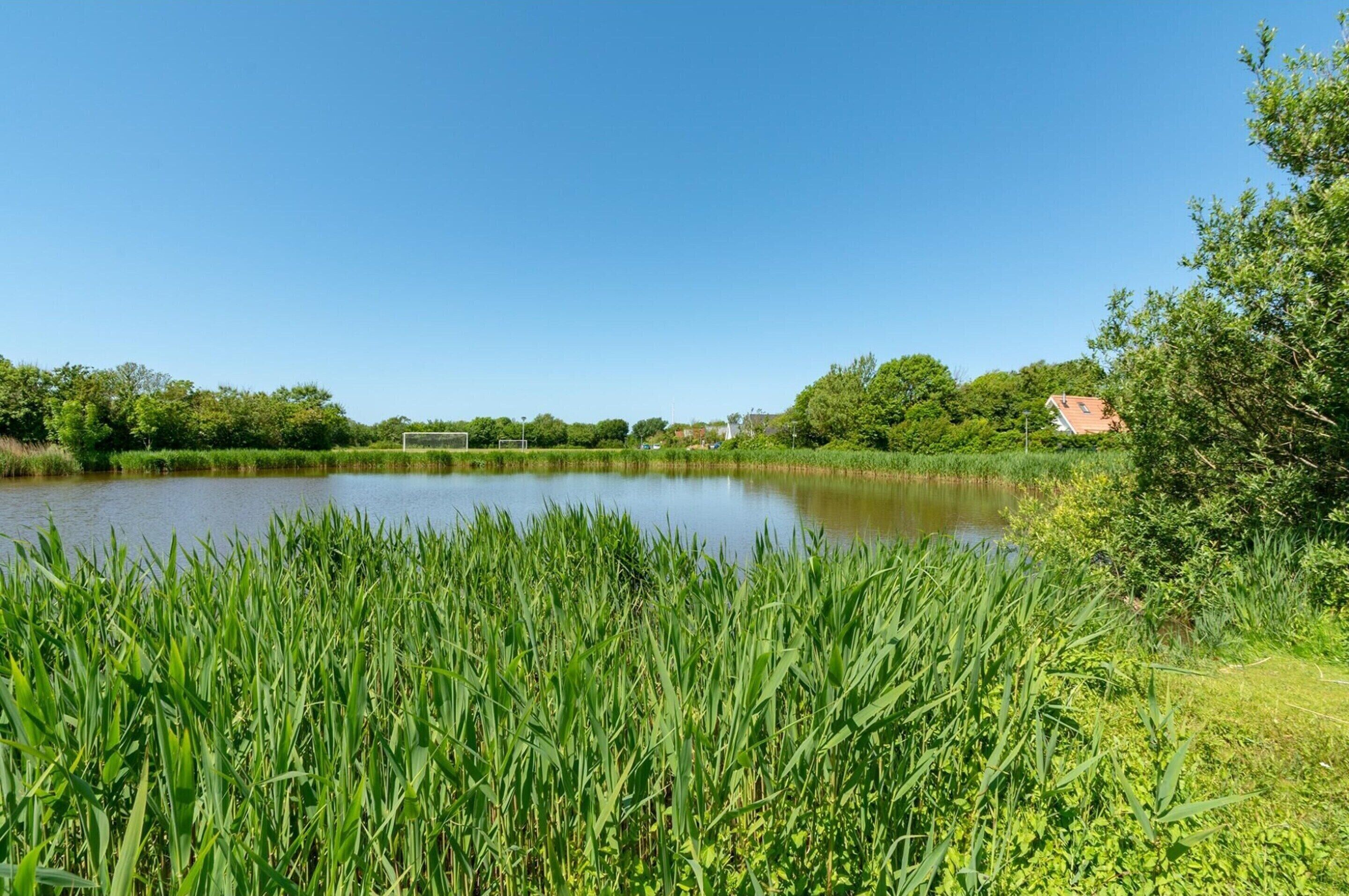 A calm lake surrounded by lush greenery and a few houses in the background.