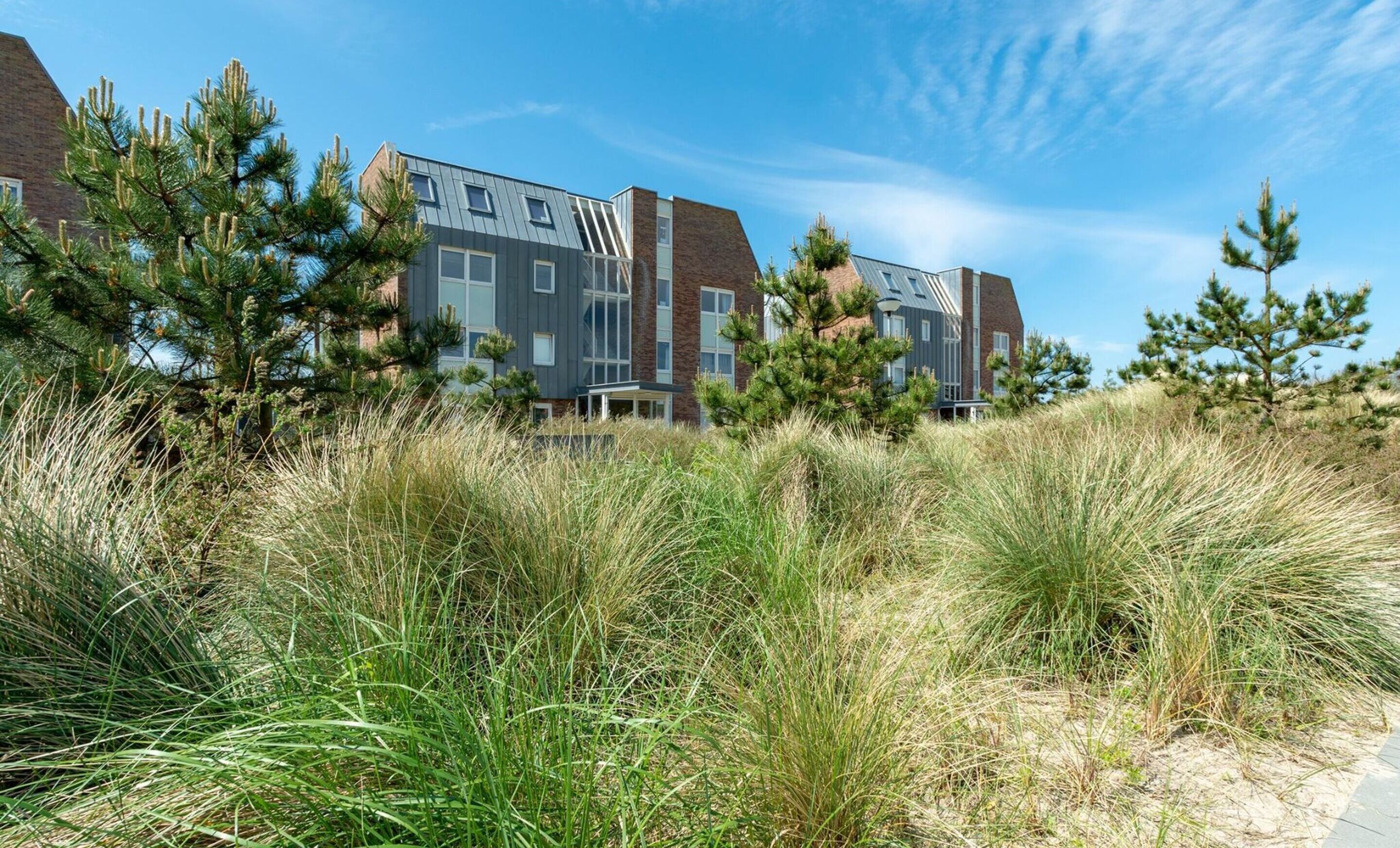 Luxury-Apartment, 1 Schlafzimmer | Außenbereich