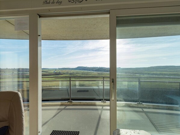 デラックス アパートメント 2 ベッドルーム | バルコニー