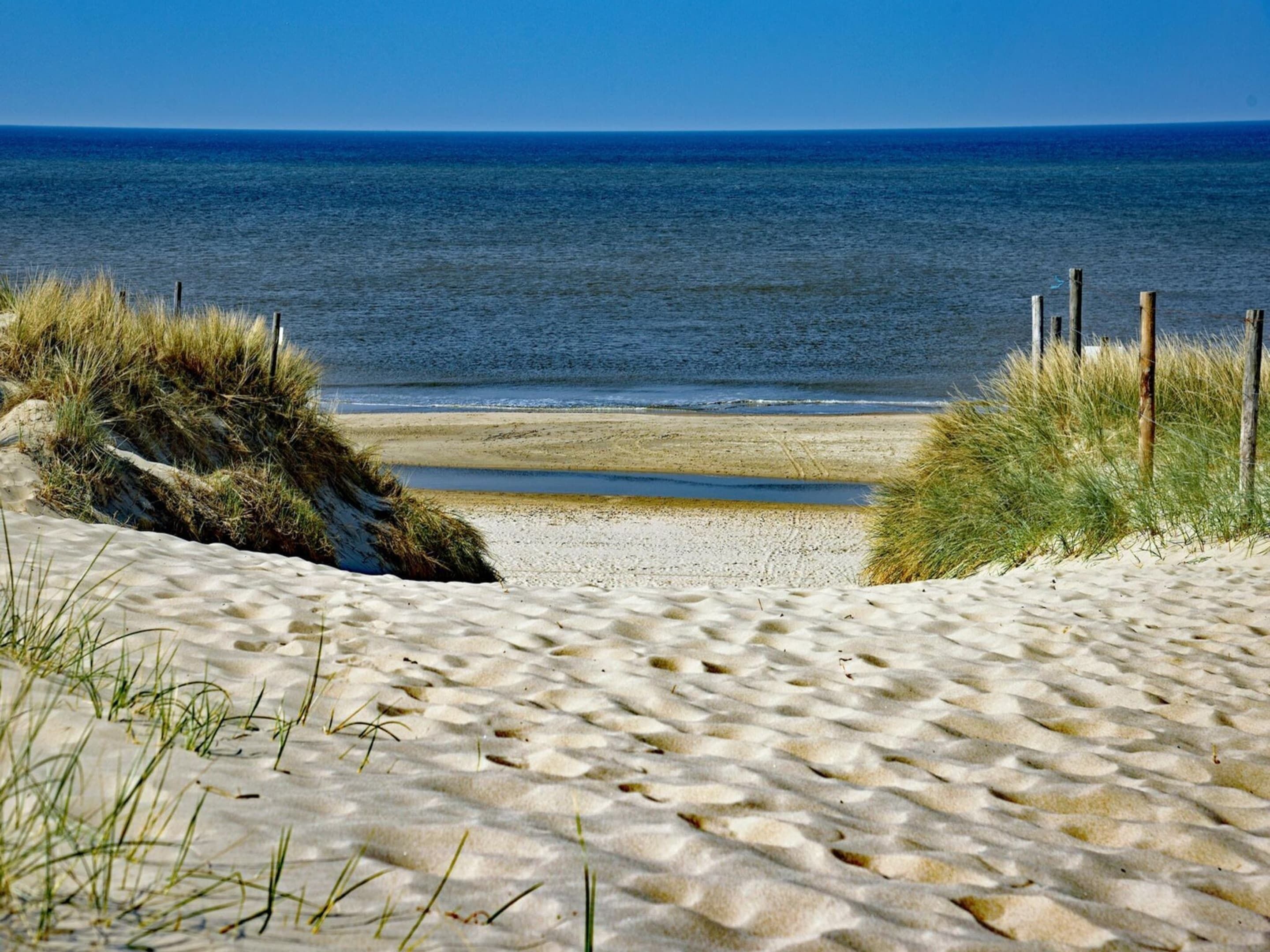 Vista desde la propiedad