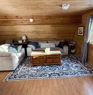 Smart TV, fireplace, books