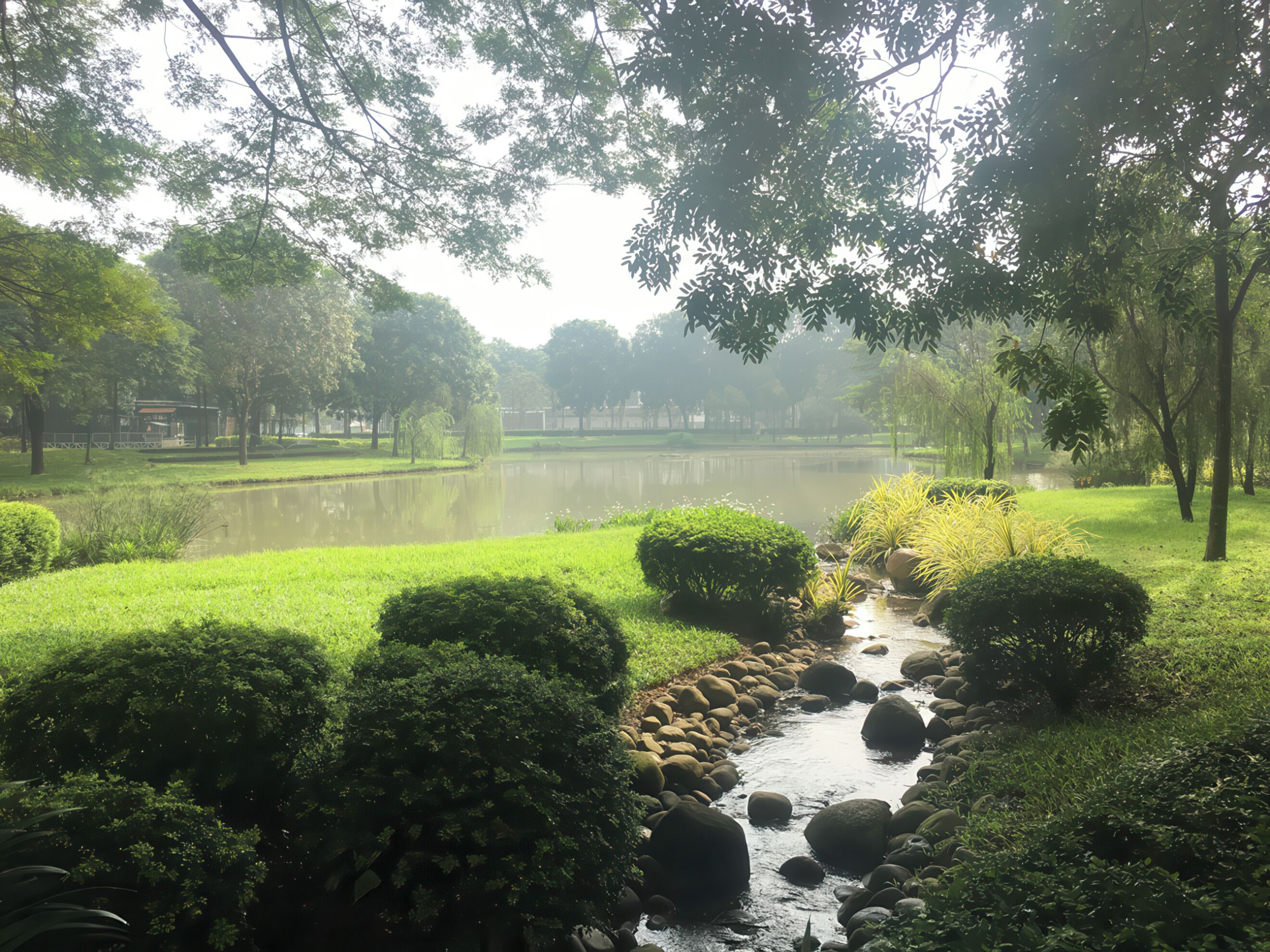Un parc paisible avec un étang, une végétation luxuriante et un petit ruisseau.