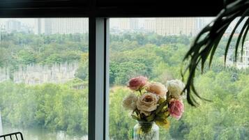 Superior appartement, 1 slaapkamer, keuken, uitzicht op de stad | Uitzicht op de stad