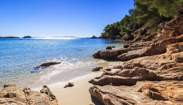Nära stranden