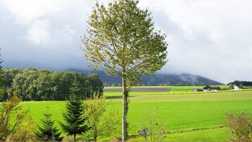 A rural landscape with a prominent tree, green fields, and distant mountains.