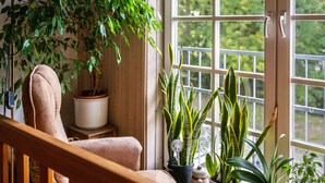 A room with a wooden chair, a potted plant, and a window with a view of greenery.